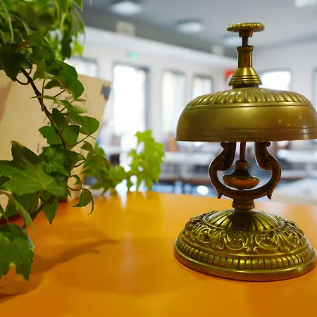 Boutique D'orbigny - La Rochelle Châtelaillon-Plage