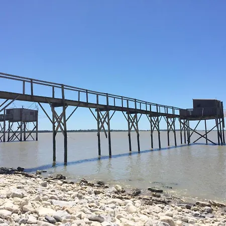 Boutique D'orbigny - La Rochelle