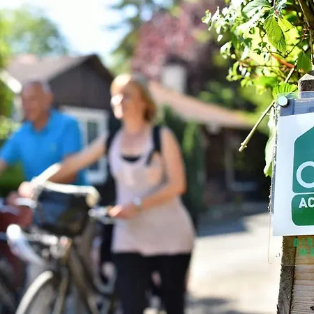 Boutique D'orbigny - La Rochelle