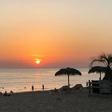 Boutique D'orbigny - La Rochelle Châtelaillon-Plage