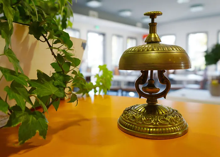 Boutique D'orbigny - La Rochelle Châtelaillon-Plage