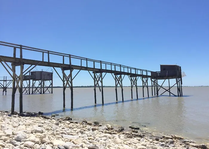 Boutique D'orbigny - La Rochelle