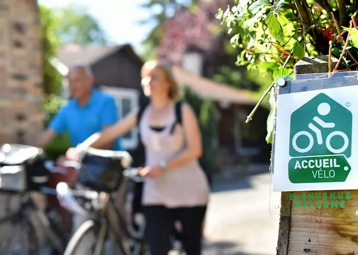 Boutique D'orbigny - La Rochelle