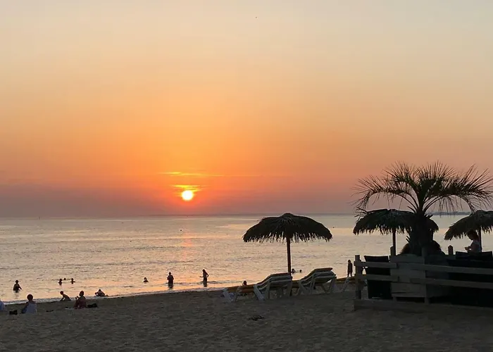 Boutique D'orbigny - La Rochelle Châtelaillon-Plage